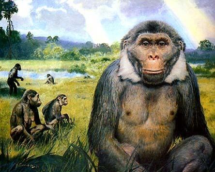 Oreopithecus - Alchetron, The Free Social Encyclopedia