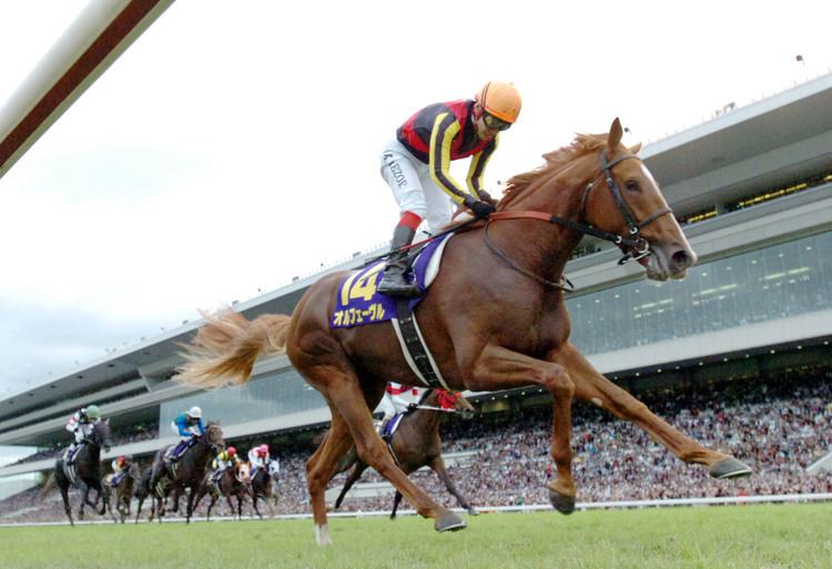 Orfevre Orfevre crushes field to claim Triple Crown The Japan Times