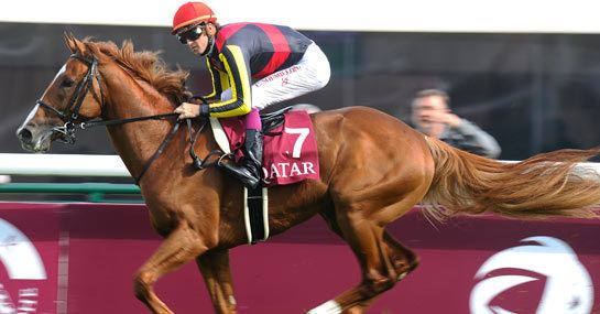 Orfevre Four big trends for Orfevre to overcome if he is to win Arc