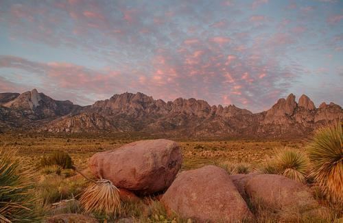 Organ Mountains-Desert Peaks National Monument Local economic study shows support for Organ MountainsDesert Peaks