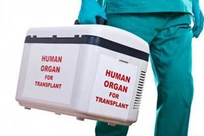 Organ transplantation Why Organ Transplants Are Not Always Successful