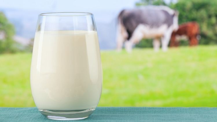 Organic milk Organic milk and meat are healthier suggests new study