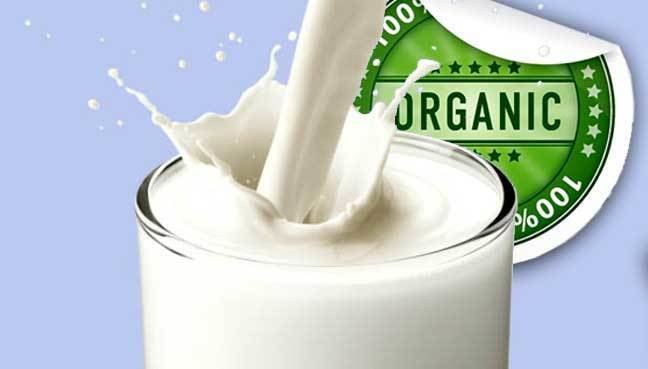 Organic milk Best Milk Delivery Organic Milk Delivery In Gurgaon