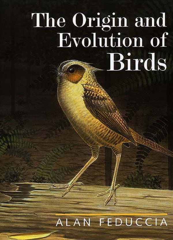Origin of birds The Origin and Evolution of Birds Paleontology Books Books