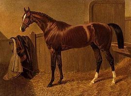 Orlando (horse) httpsuploadwikimediaorgwikipediacommonsthu