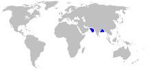 Ornate dogfish httpsuploadwikimediaorgwikipediacommonsthu