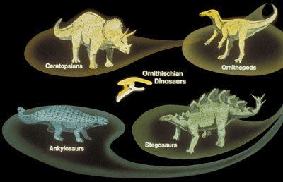 Ornithischia Ornithischian Dinosaurs