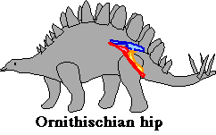 Ornithischia Ornithischian Dinosaurs Enchanted Learning Software