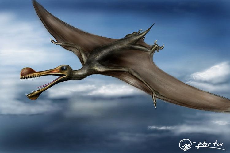 Ornithocheirus Ornithocheirus Facts and Pictures