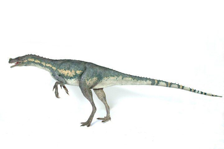 Ornitholestes ORNITHOLESTES Ornitholestes decojardycasasantu Citizens of
