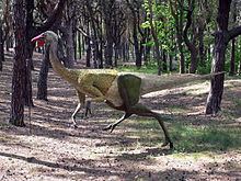 Ornithomimidae httpsuploadwikimediaorgwikipediacommonsthu