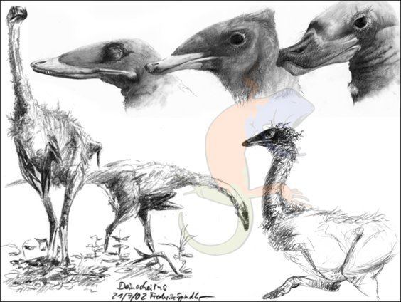 Ornithomimosauria sketchbook Dr Frederik Spindler