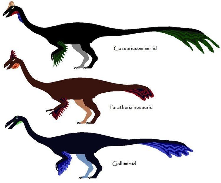 Ornithomimosauria Ornithomimosauria by dinobenten on DeviantArt