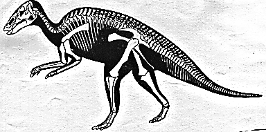 Ornithopod ornithopodgif