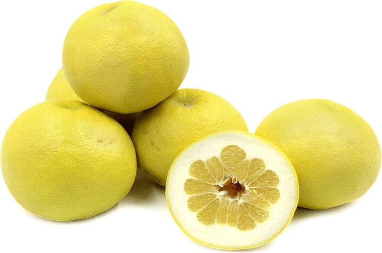 Oroblanco Oro Blanco Grapefruit Information Recipes and Facts
