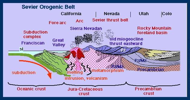 Formation of an orogen is accomplished in part by the tectonic processes of...