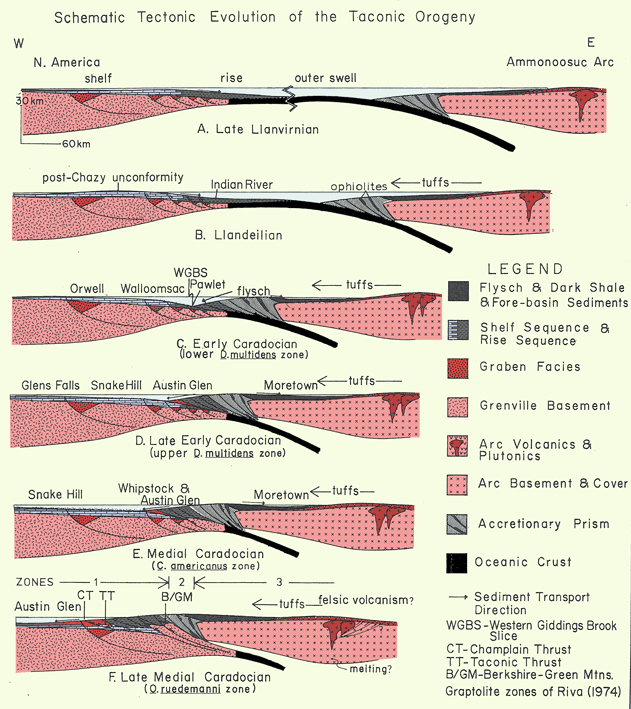 Orogeny Tectonic Setting