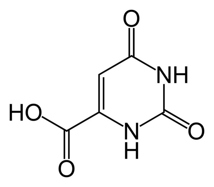 Orotic acid FileOroticacid2Dskeletalpng Wikimedia Commons