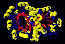 Orotidine 5'-phosphate decarboxylase httpsuploadwikimediaorgwikipediacommonsthu