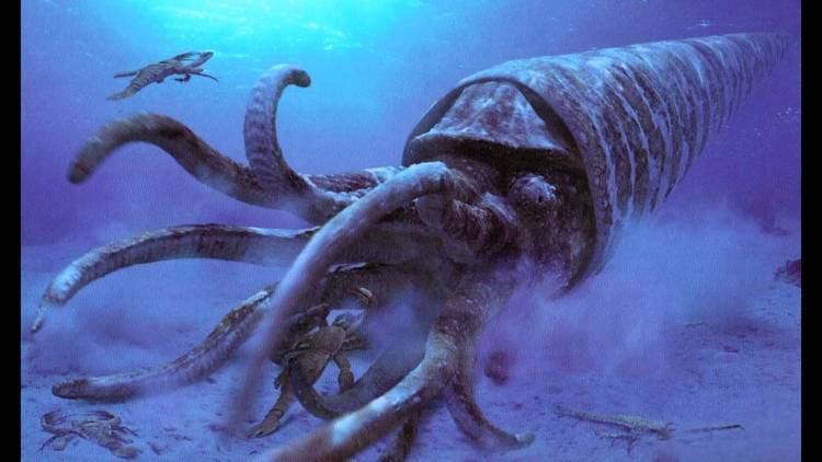 Orthocone Sea Monsters Soundtrack The Giant Orthocone YouTube
