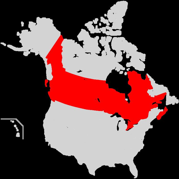 Orthodox Church in America Archdiocese of Canada
