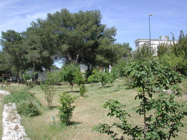 Orto Botanico dell'Università di Lecce