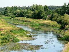 Orzyc (river) httpsuploadwikimediaorgwikipediacommonsthu