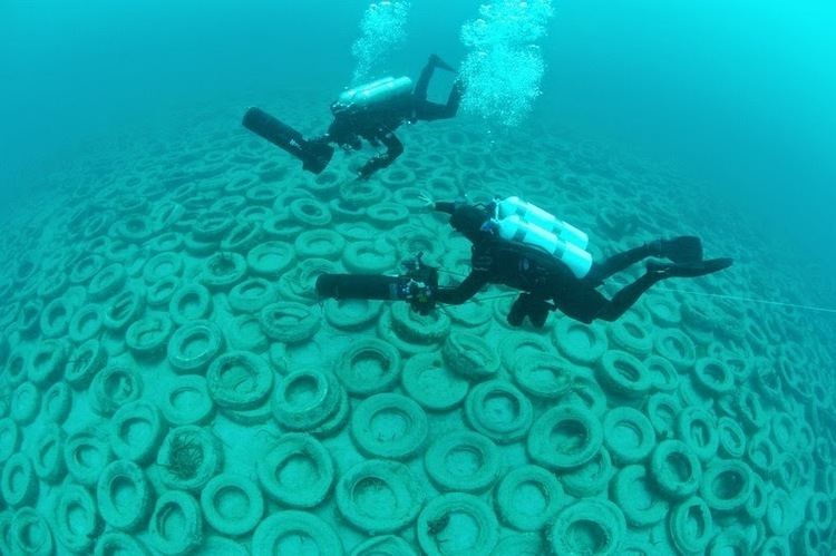 Osborne Reef Osborne Reef A Failed Artificial Reef of Discarded Tires Amusing