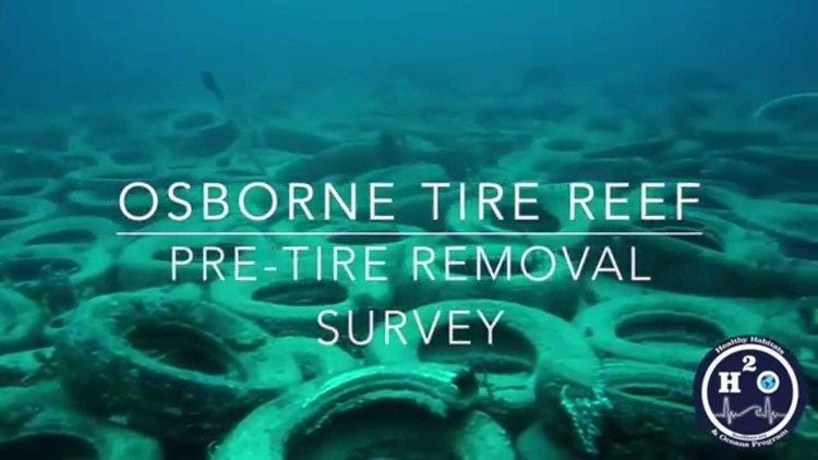 Osborne Reef Osborne Tire Reef Fort Lauderdale YouTube