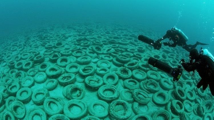 Osborne Reef Osborne Reef A Failed Artificial Reef of Discarded Tires Amusing