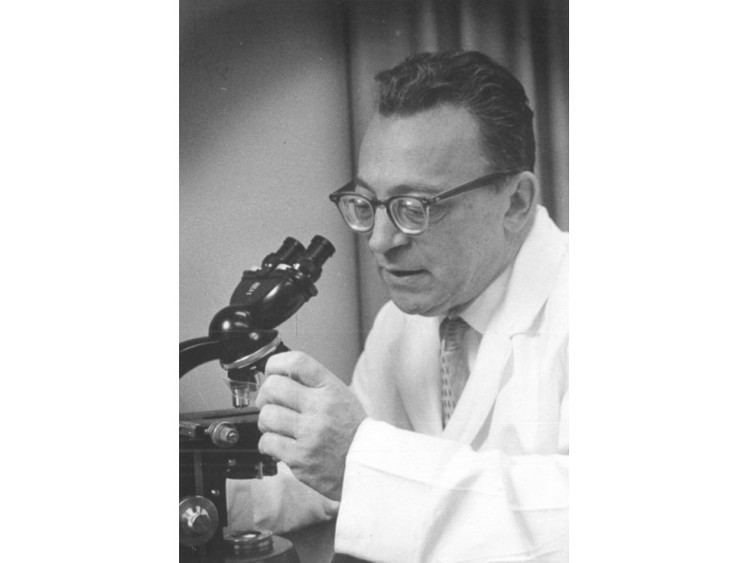Oscar Auerbach Oscar Auerbach A Longtime Professor at Rutgers New Jersey Medical