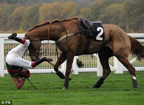 Oscar Whisky Overturn takes advantage of Oscar Whisky fall to win Coral Hurdle