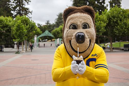Oski the Bear Birthday Bear Iconic Oski turns 75 Berkeley News