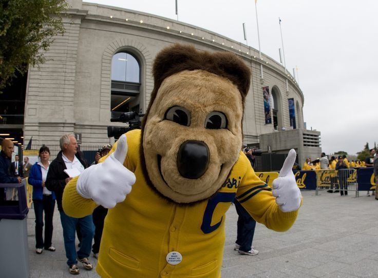 Oski the Bear 1000 images about The Oski Tradition on Pinterest This weekend