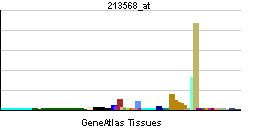 OSR2 (gene)