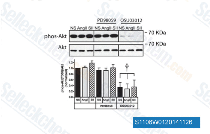 OSU-03012 OSU03012 AR12 PDK inhibitor Read Reviews amp Product Use Citations