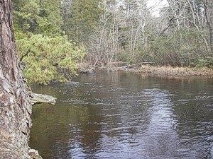 Oswego River (New Jersey) httpspaddlingcomstorageimagestripreportsv