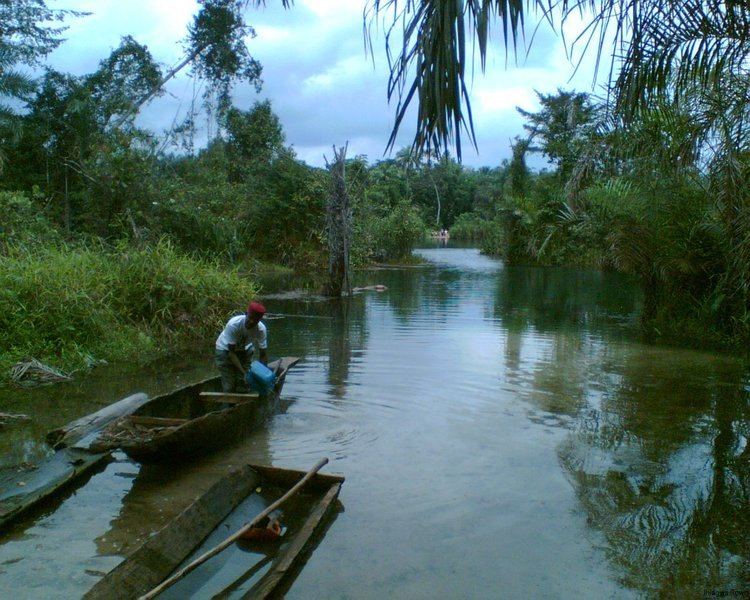 Otamiri River wwwihiagwacomcondimentumwpcontentgalleryota