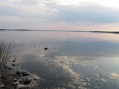 Otermanjärvi httpsuploadwikimediaorgwikipediacommonsthu