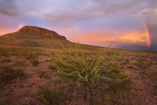 Otero Mesa wildernessorgsitesdefaultfilesstylesblogful