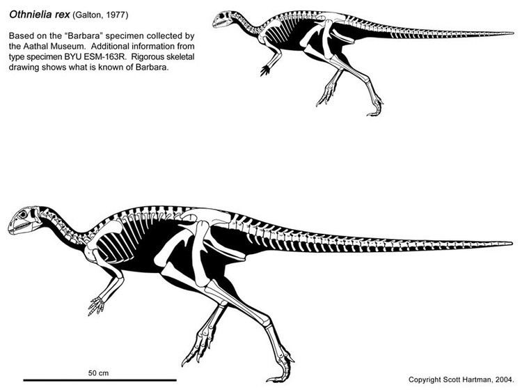 Othnielosaurus Othnielosaurus Pictures amp Facts The Dinosaur Database
