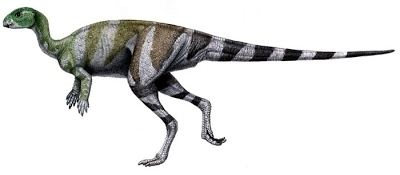 Othnielosaurus Othnielosaurus paleofilescom