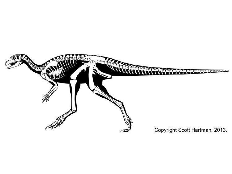 Othnielosaurus imagesdinosaurpicturesorgOthnielosaurus3539jpg