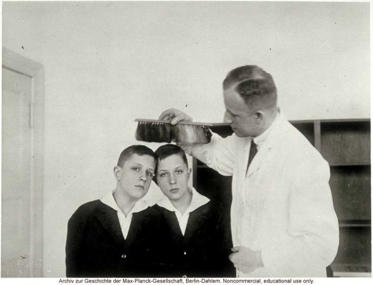 Otmar Freiherr von Verschuer 12yearold male twins undergoing anthropometric study by Otmar