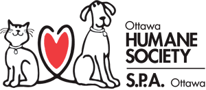 Ottawa Humane Society wwwottawahumanecakittenimgohslogopng