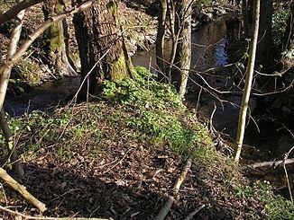 Ottersbach httpsuploadwikimediaorgwikipediacommonsthu