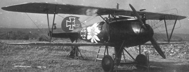Otto Kissenberth Wingnut Wings 132 Albatros DV 39The Bavarians39 decals