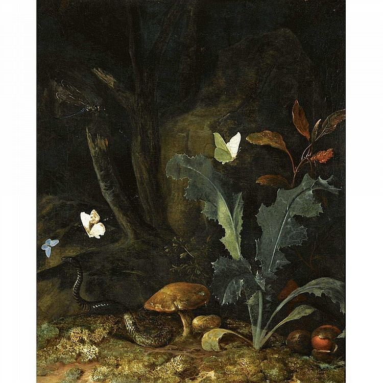 Otto Marseus van Schrieck Otto Marseus van Schrieck Works on Sale at Auction