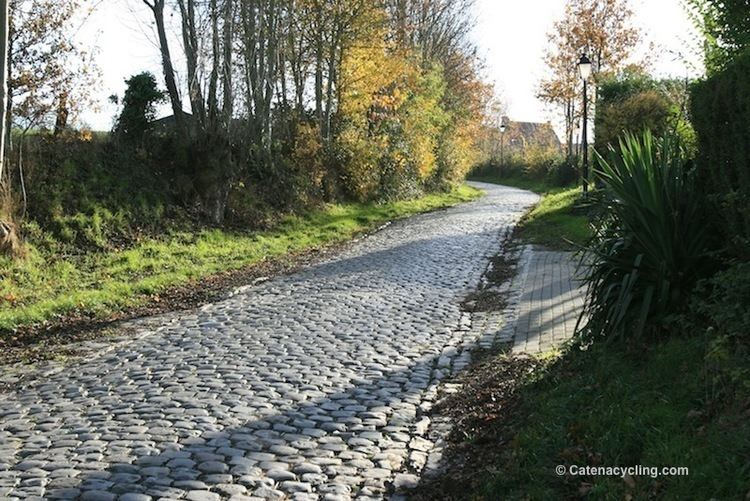 Oude Kwaremont Oude Kwaremont Catena Cycling