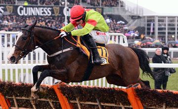 Our Conor Hughes Conor the leading contender for Champion Hurdle UK